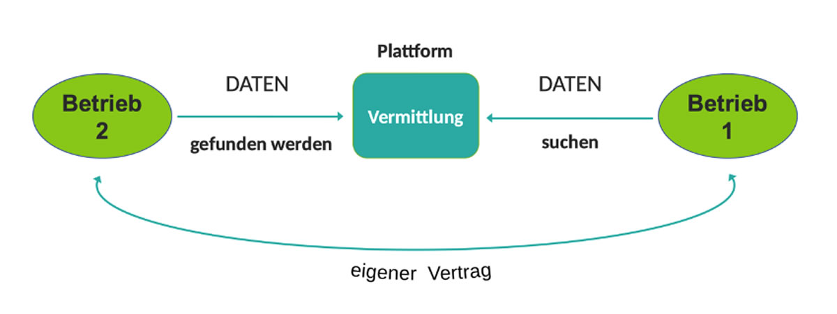 Die Grundstruktur bei Plattform-AGB