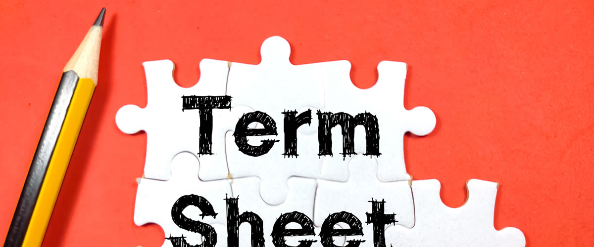 StartUp Beratung Aufbau eines Term Sheet - Ihr Rechtsanwalt für StartUp Recht